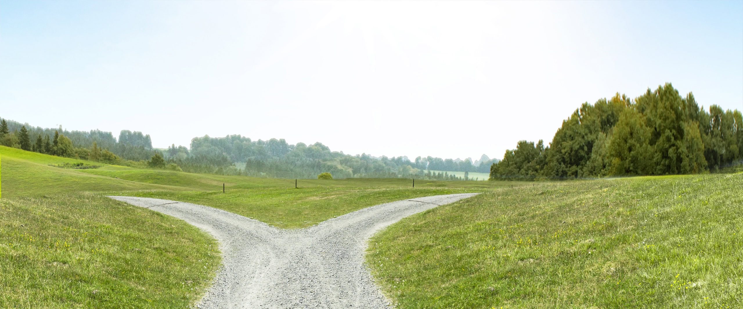 Ein Weg in der Natur teilt sich zu zwei Wegen auf